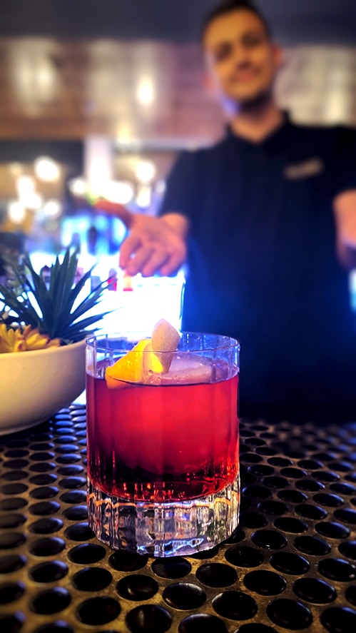 Delicious Negroni Cocktail Recipe by Alemré